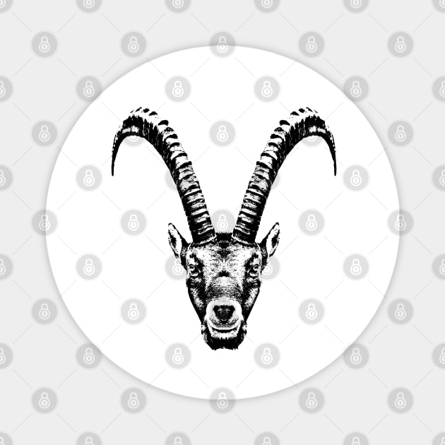 Ibex / head Magnet by R LANG GRAPHICS